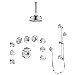 3 function thermostatic shower system