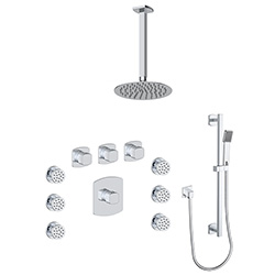 3 function thermostatic shower system