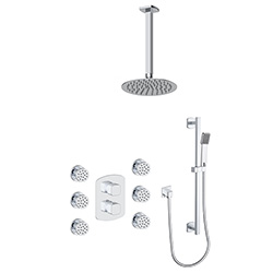 3 function thermostatic shower system (with or. without shared function)